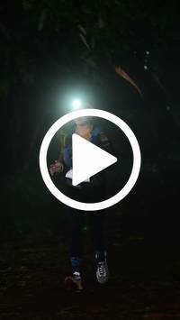 BIB:  <button type="button" onclick="openModal(27808699)" class="btn btn-primary btn-sm float-right" data-toggle="modal" data-target=".modal-high-quality">
                <i class="fa fa-download"></i> Download
                </button>